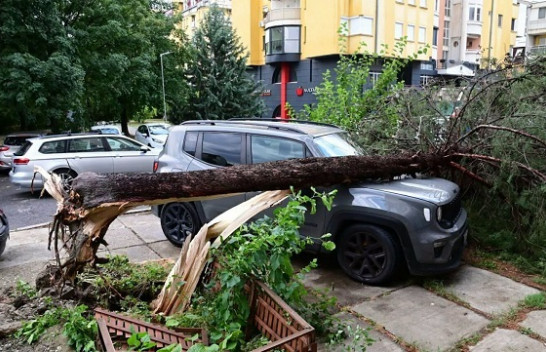 Bilanci i stuhisë në Maqedoninë e Veriut: 10 të lënduar, qindra dëme materiale
