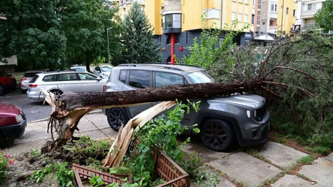 Bilanci i stuhisë në Maqedoninë e Veriut: 10 të lënduar, qindra dëme materiale