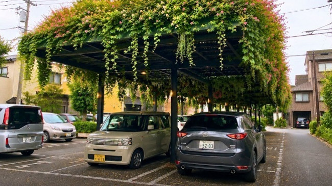 Një ide e gjelbër nga Japonia: më pak nxehtësi, më shumë freski