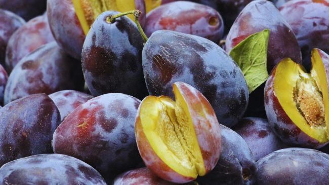 Pse duhet të hani kumbulla më shpesh: Shtatë arsye për t'i përfshirë ato në dietën tuaj