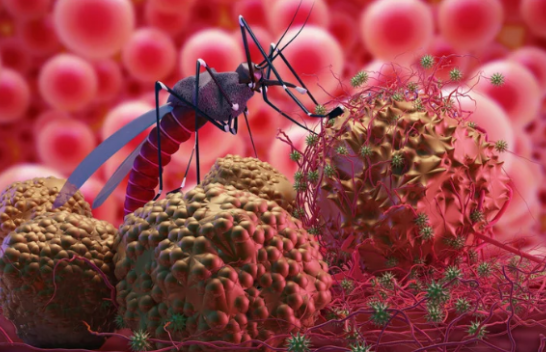 IKSHPK me rekomandime për qytetarët: Mbrohuni nga malaria gjatë udhëtimeve