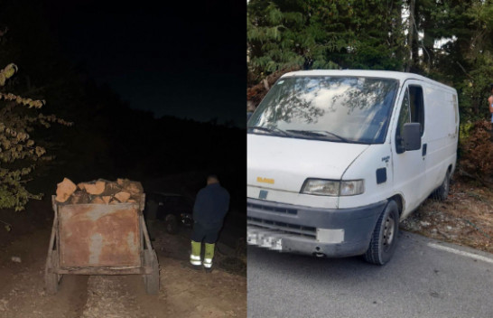 Policia e Ferizajt dhe Shtërpcës në aksion për mbrojtjen e pyjeve