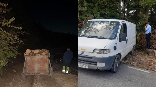 Policia e Ferizajt dhe Shtërpcës në aksion për mbrojtjen e pyjeve